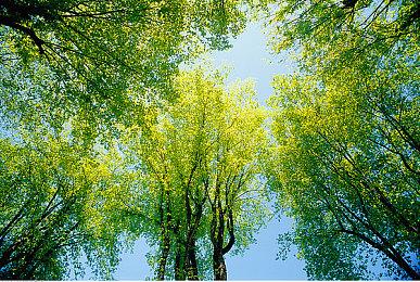 《瑞奇与叮当：时空跳转》国行版宣布4月12日发售 定价299元